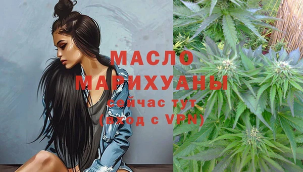 молекула духа Нягань