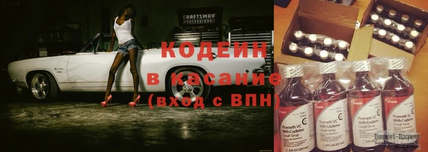 молекула духа Нягань